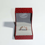 Sa Isla Ring 2